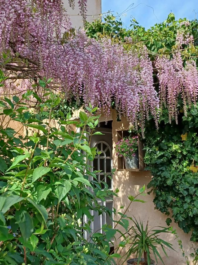 Suite Avec Jardin Entre Aix En Provence, Luberon Et Verdon Peyrolles-en-Provence Экстерьер фото
